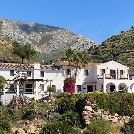 Cortijo Las Palmeras El Chorro Alora Luaran gambar