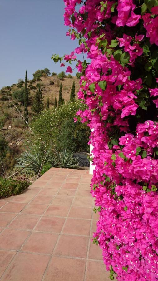 Cortijo Las Palmeras El Chorro Alora Luaran gambar